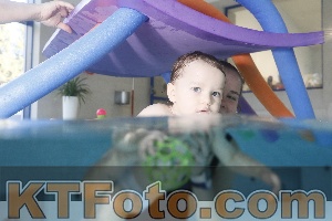 Photo 4302061