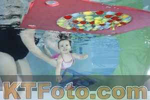 Photo 4302062