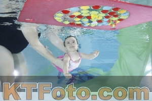 Photo 4302063