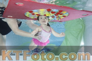 Photo 4302065