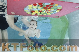 Photo 4302067