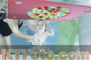 Photo 4302068