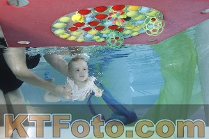 Photo 4302069