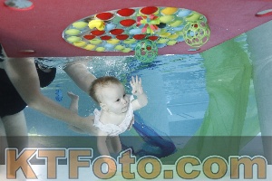 Photo 4302070