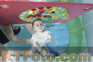 Photo 4302071