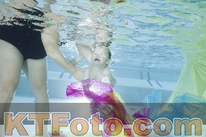 Photo 4302085