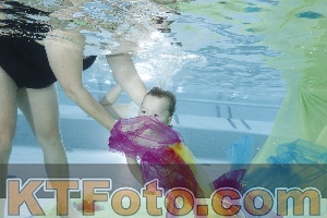 Photo 4302086