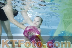 Photo 4302087