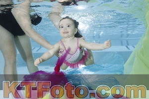 Photo 4302089