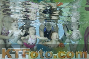 Photo 4302101