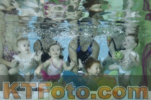 Photo 4302102