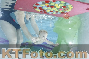 Photo 4302156