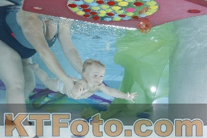 Photo 4302157