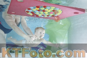 Photo 4302158
