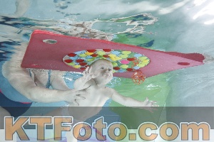 Photo 4302159