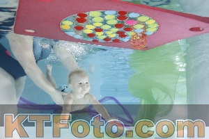 Photo 4302161