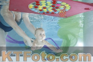Photo 4302162