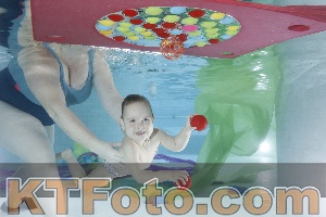 Photo 4302165