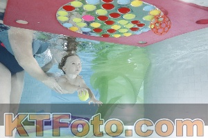 Photo 4302167