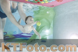 Photo 4302168