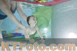 Photo 4302169