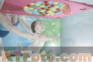 Photo 4302170