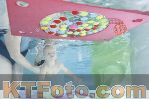 Photo 4302171