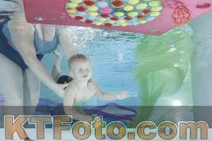 Photo 4302172