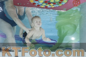 Photo 4302173