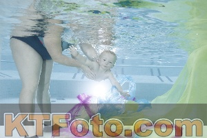 Photo 4302211