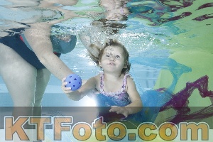 Photo 4302229