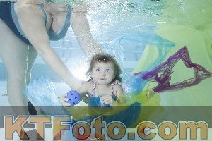 Photo 4302231