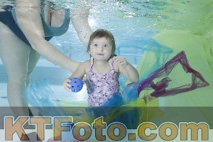 Photo 4302232