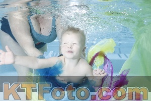 Photo 4302234