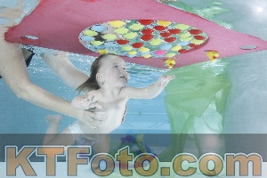 Photo 4302304