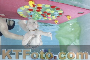 Photo 4302307