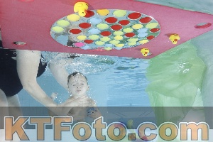 Photo 4302308