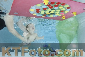 Photo 4302312