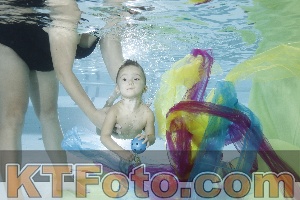 Photo 4302347