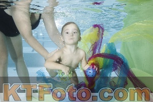Photo 4302349
