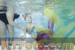 Photo 4302353