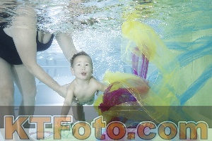 Photo 4302354