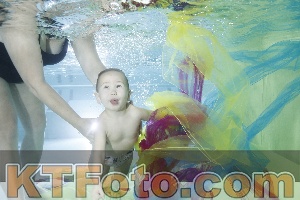 Photo 4302355