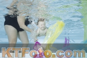 Photo 4302356