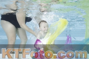 Photo 4302357