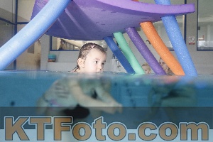 Photo 4302394
