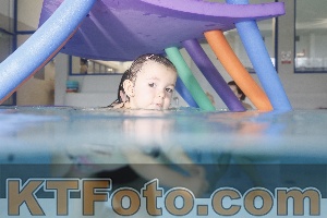 Photo 4302395