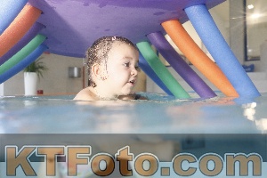 Photo 4302413