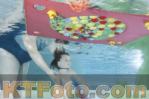 Photo 4302414