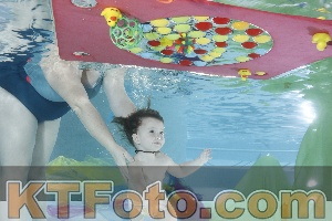 Photo 4302415